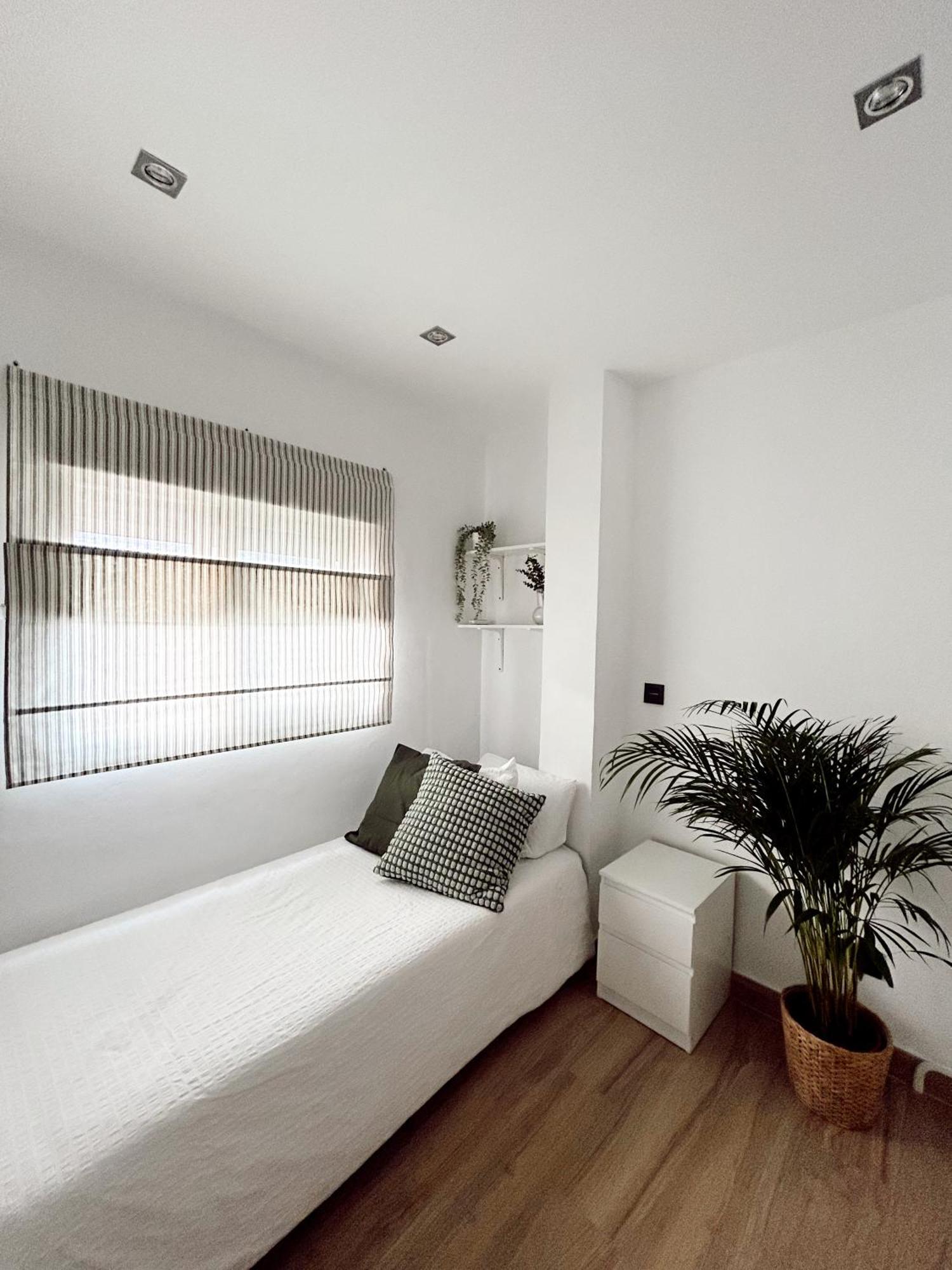 Cosy Trinidad Apartman Málaga Kültér fotó